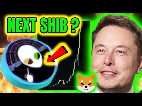 NEXT SHIB INU ?🔥  DID ELON MUSK JUST SAY IT? 🔥 NEW MEMECOIN TODAY 🔥 SUPER LOW-CAP MEMECOIN ON RISE!
